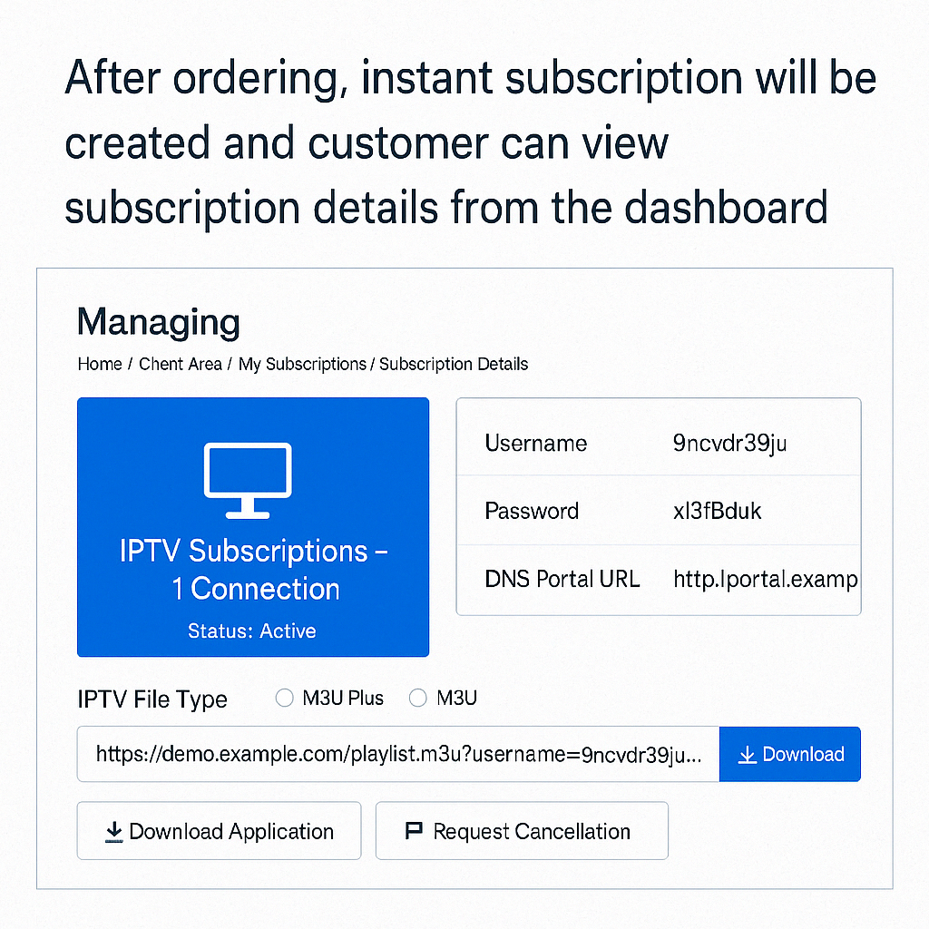 Pro Website Slide 2